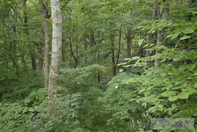 Image number 12 for the current listing
