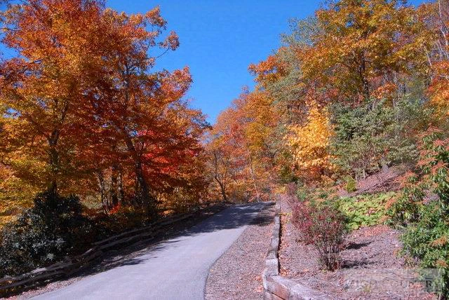 Image number 11 for the current listing