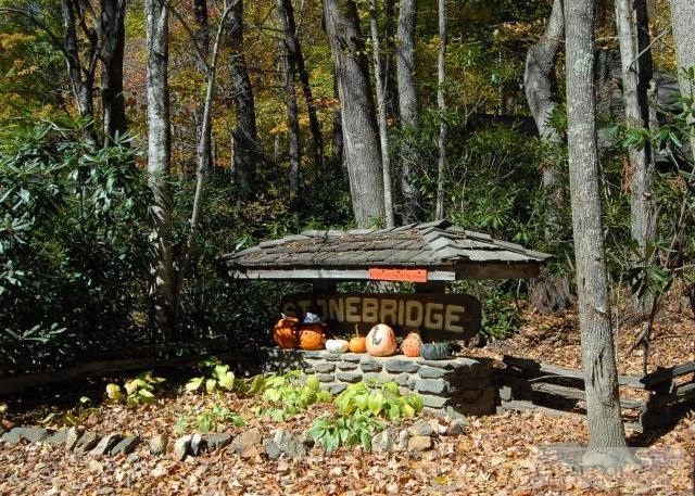 Image number 2 for the current listing