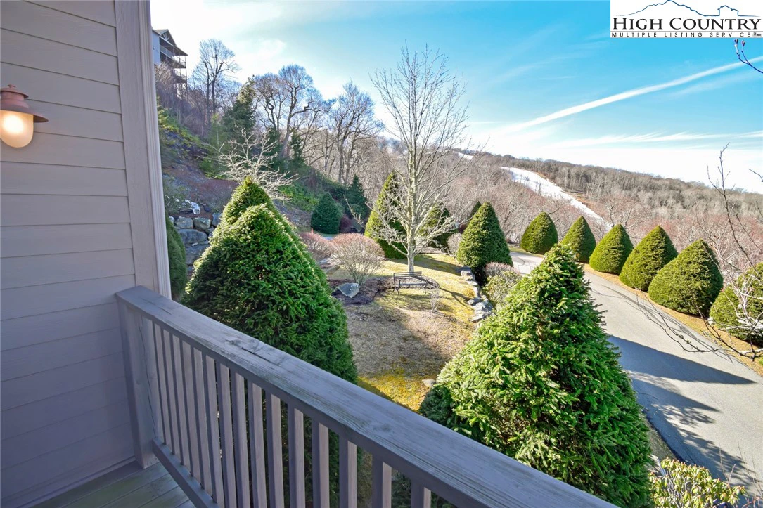 Image number 2 for the current listing