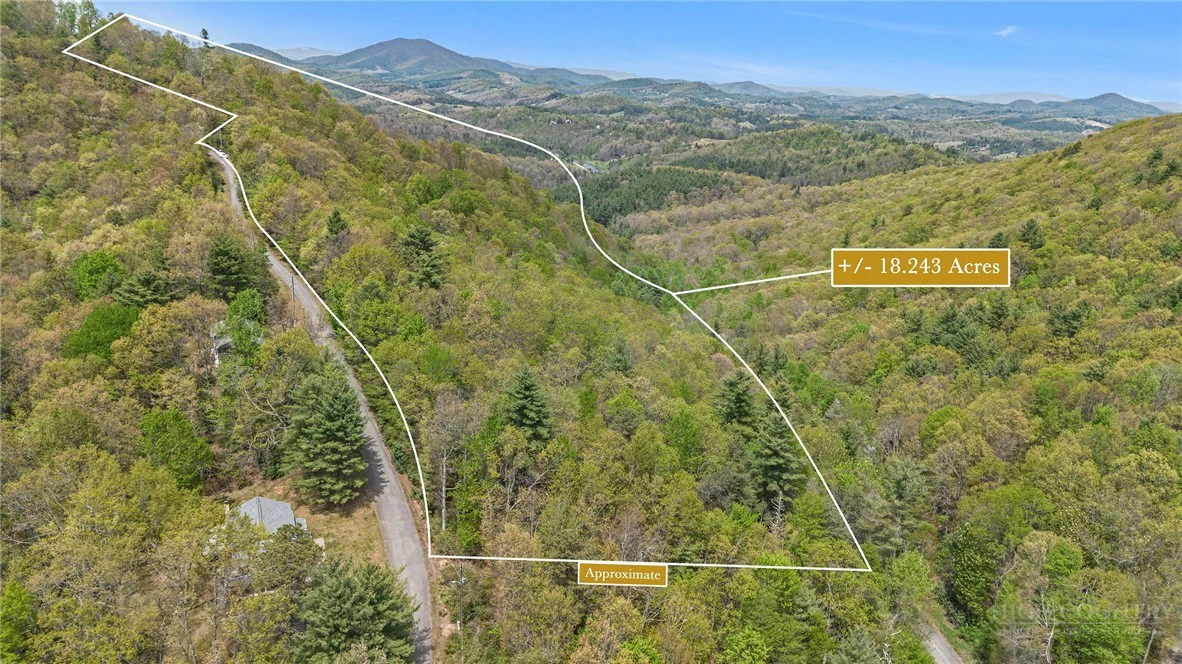 Image number 3 for the current listing