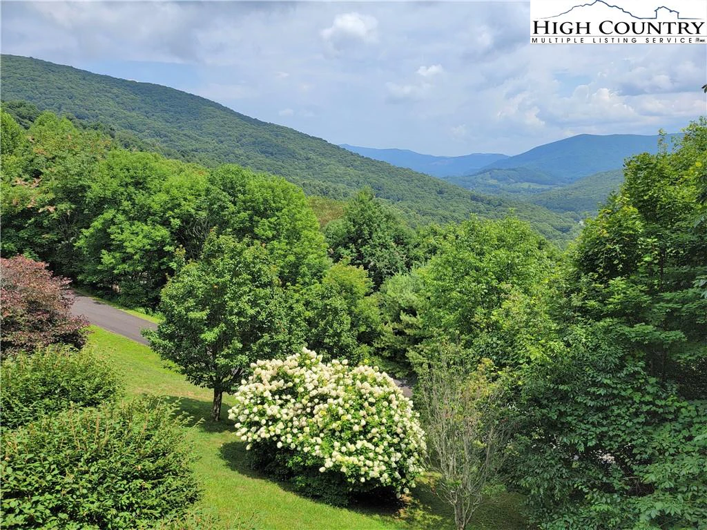 Image number 13 for the current listing