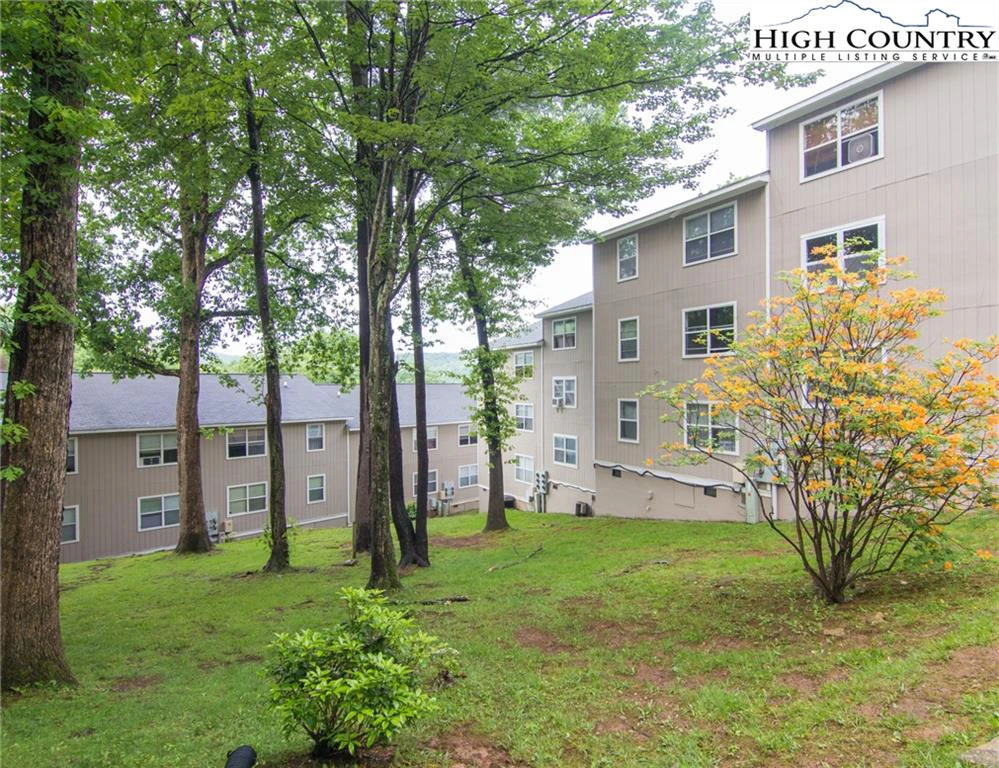 Image number 4 for the current listing
