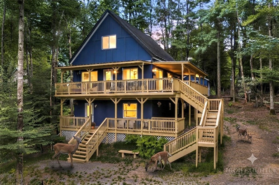 Image number 1 for the current listing