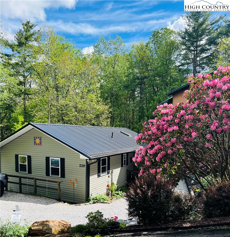 Image number 1 for the current listing
