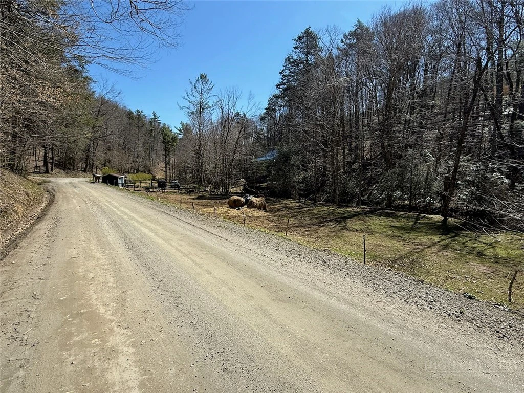 Image number 20 for the current listing
