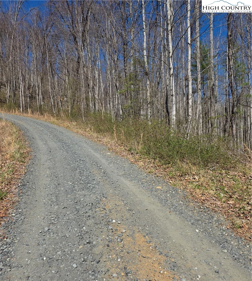 Image number 5 for the current listing