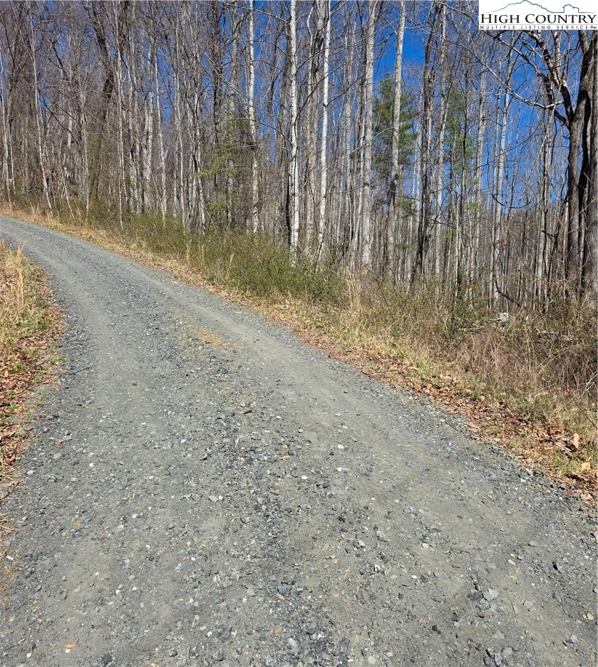 Image number 10 for the current listing