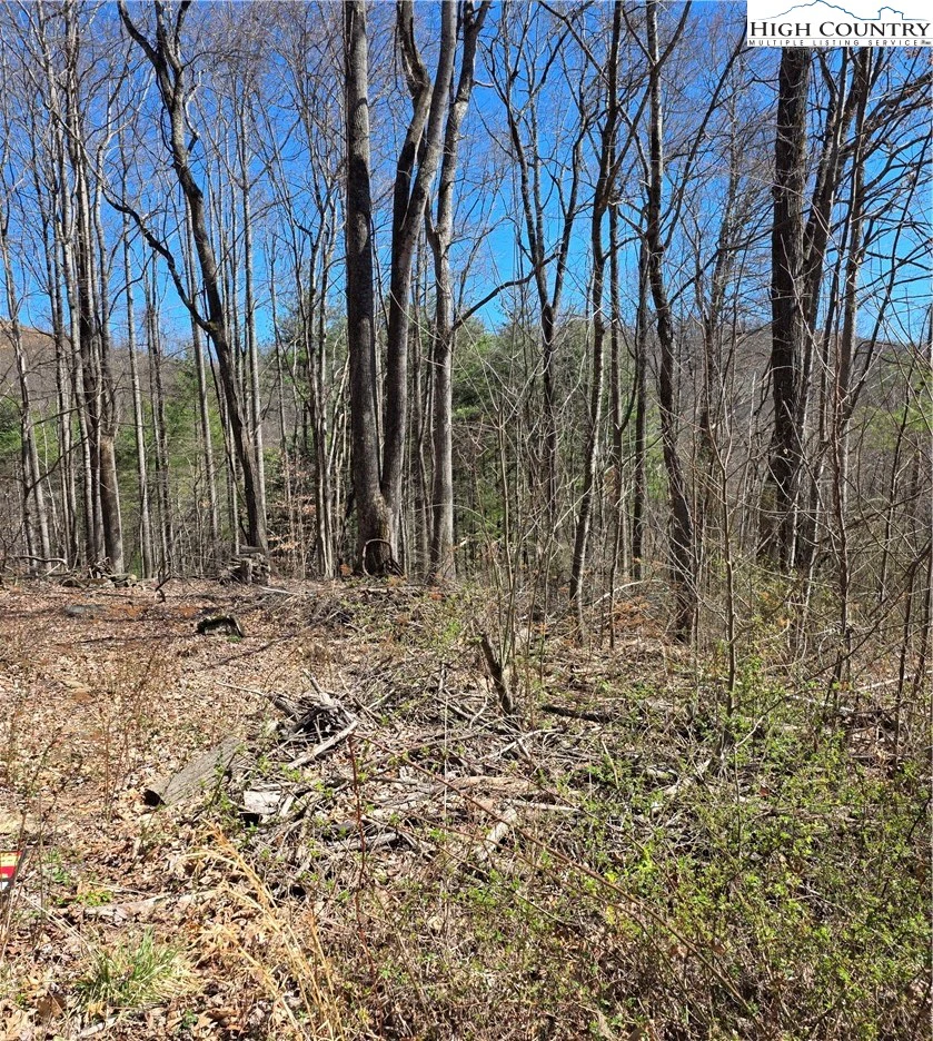 Image number 11 for the current listing