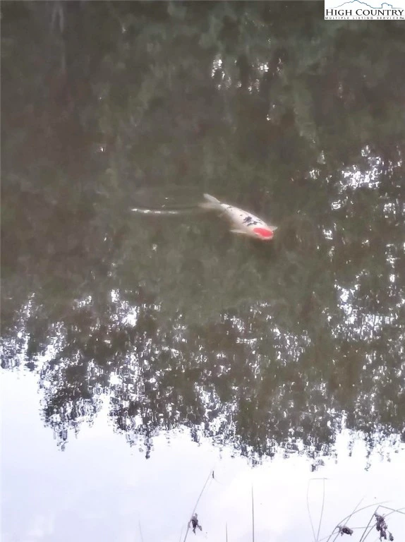 Image number 38 for the current listing