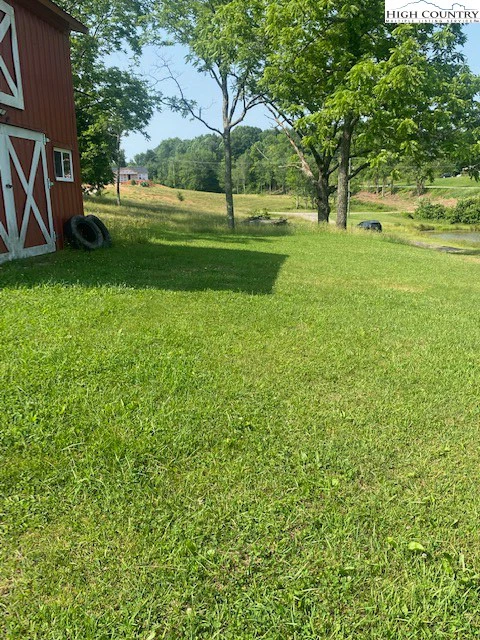 Image number 4 for the current listing