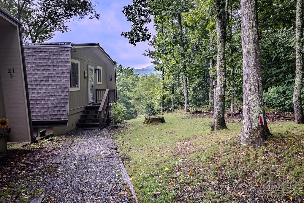 Image number 2 for the current listing