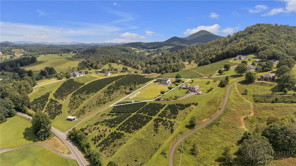 Image number 6 for the current listing