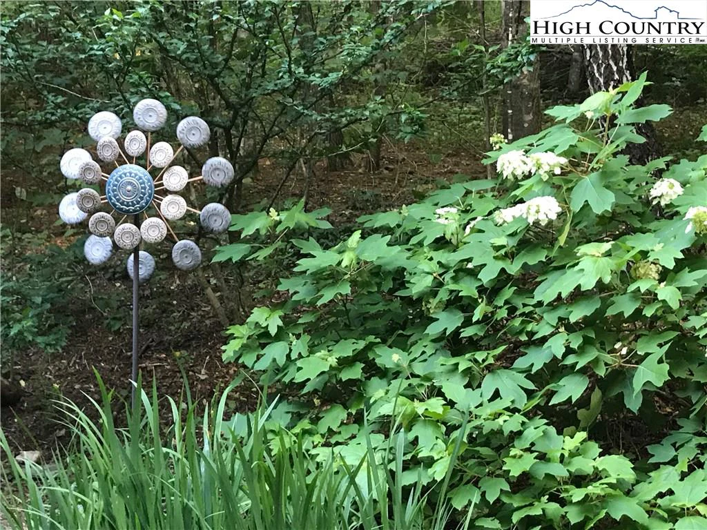 Image number 8 for the current listing