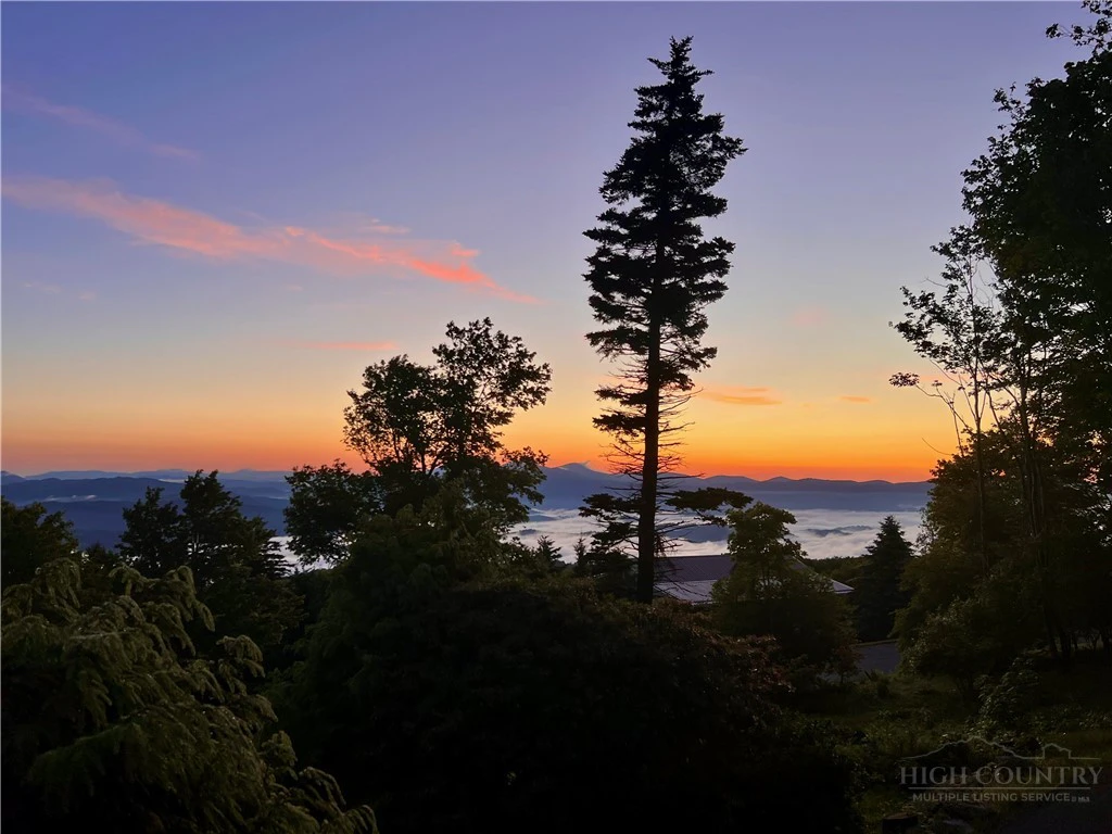 Image number 19 for the current listing