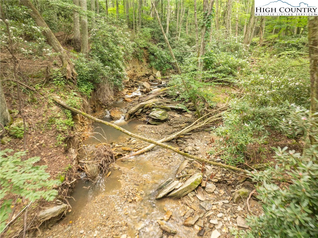 Image number 11 for the current listing