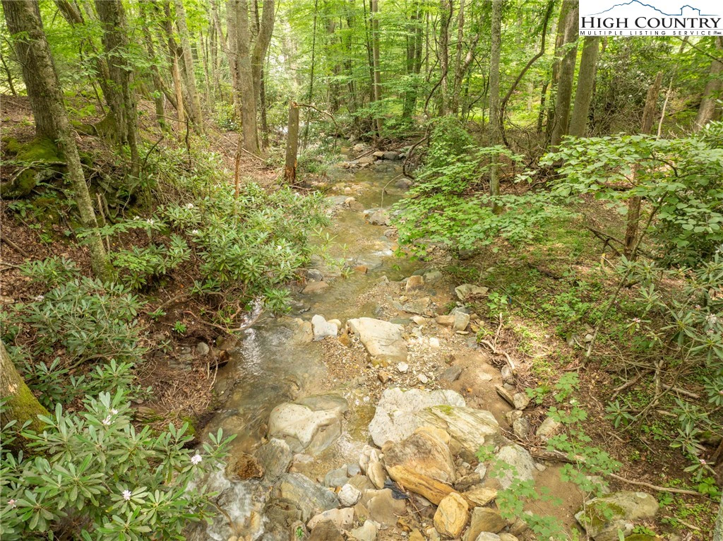 Image number 12 for the current listing