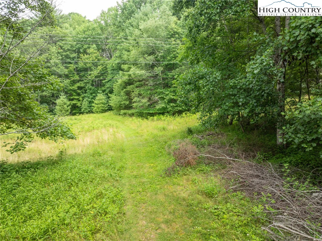 Image number 2 for the current listing