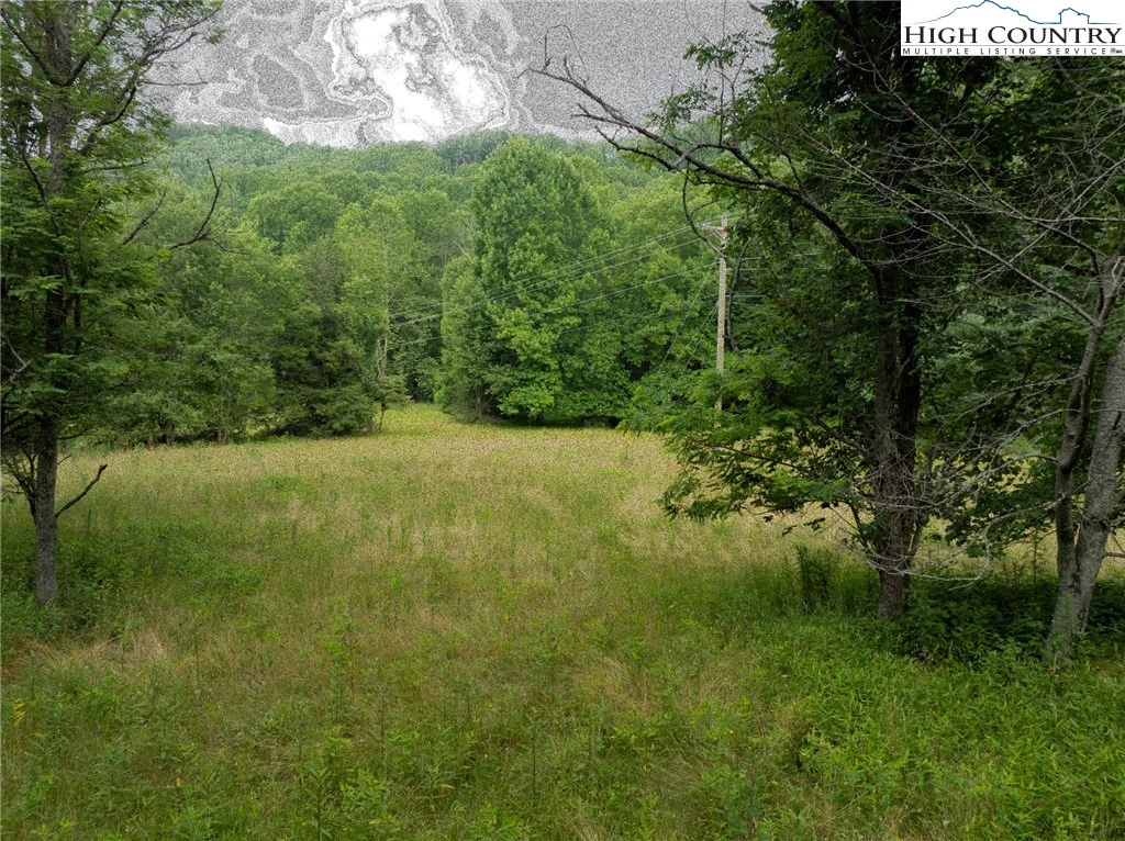 Image number 14 for the current listing