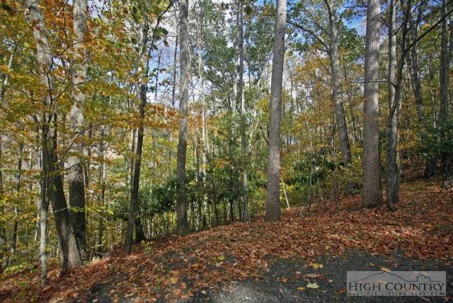 Image number 6 for the current listing