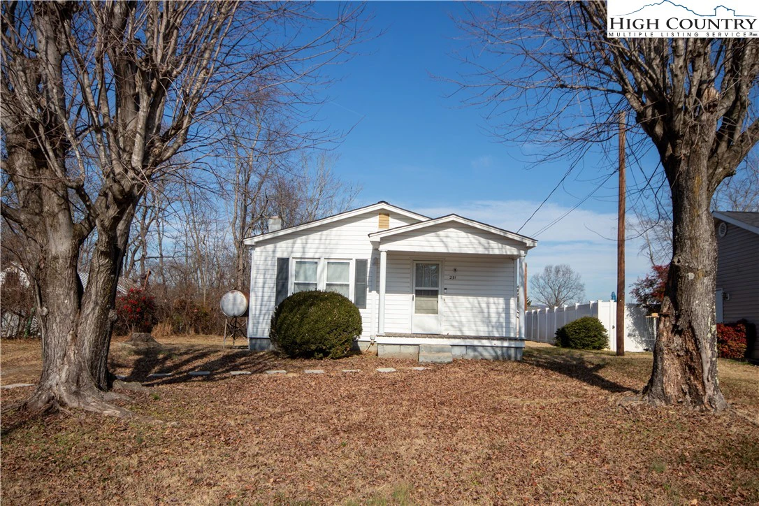 Image number 1 for the current listing