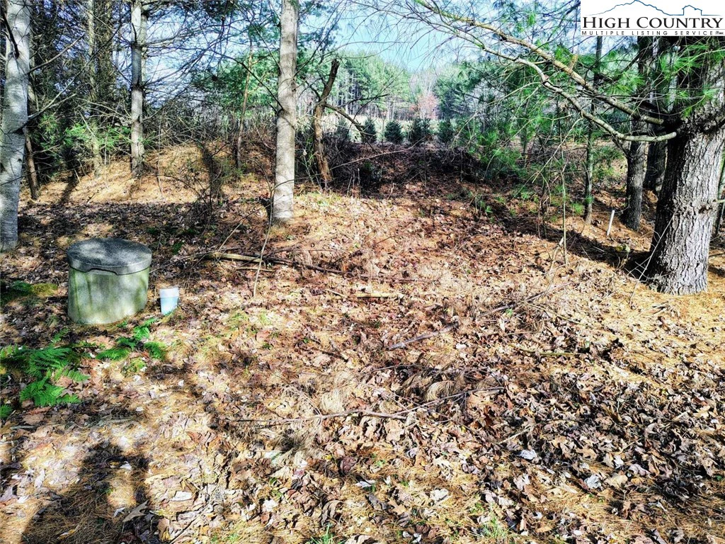 Image number 16 for the current listing