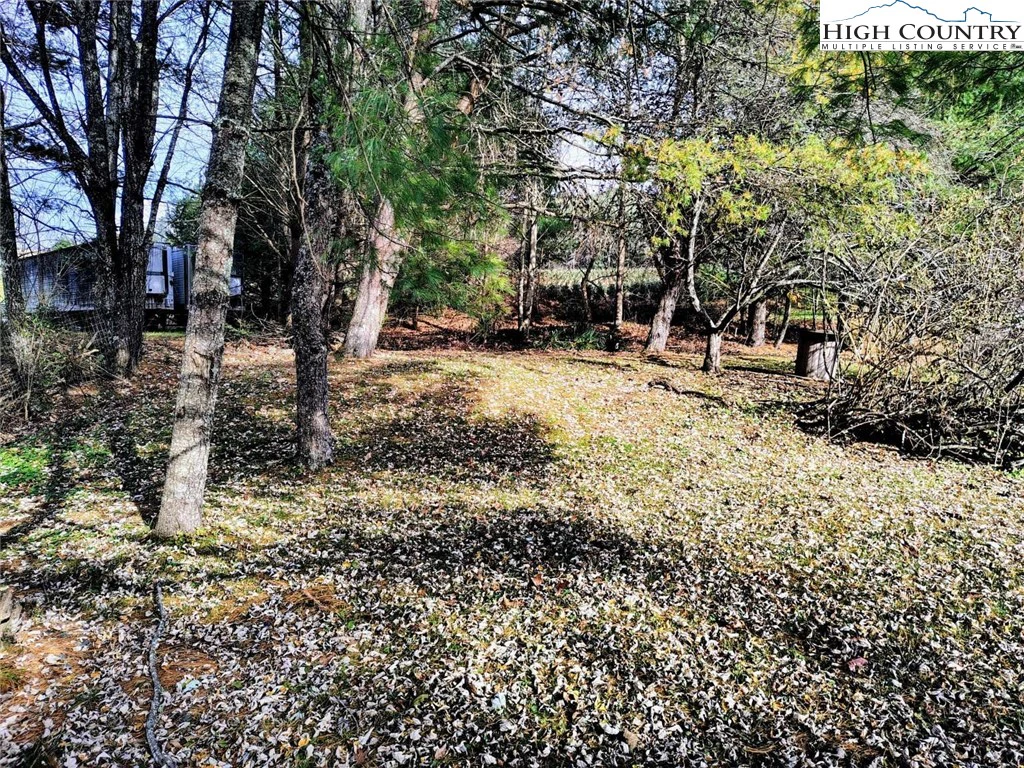 Image number 15 for the current listing