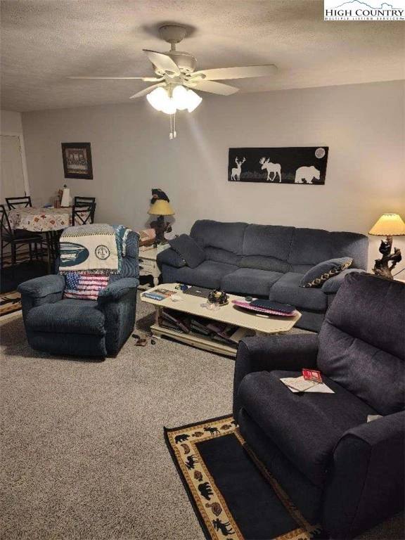Image number 14 for the current listing