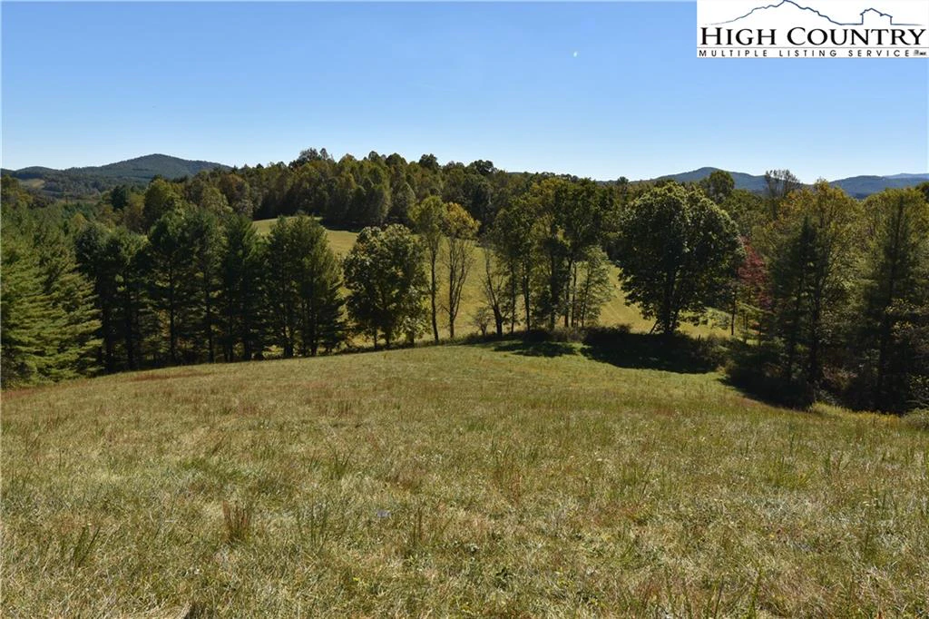 Image number 7 for the current listing