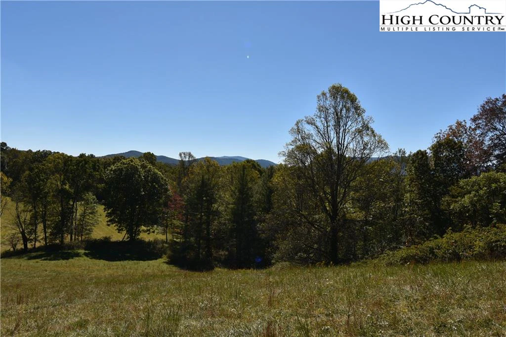 Image number 8 for the current listing