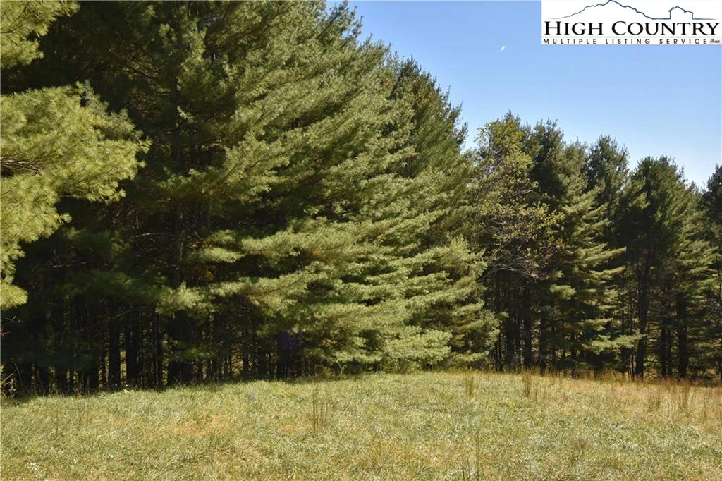 Image number 2 for the current listing