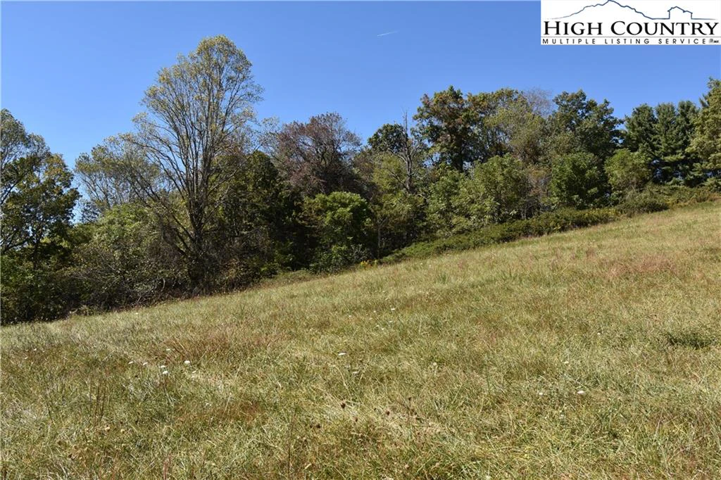Image number 13 for the current listing