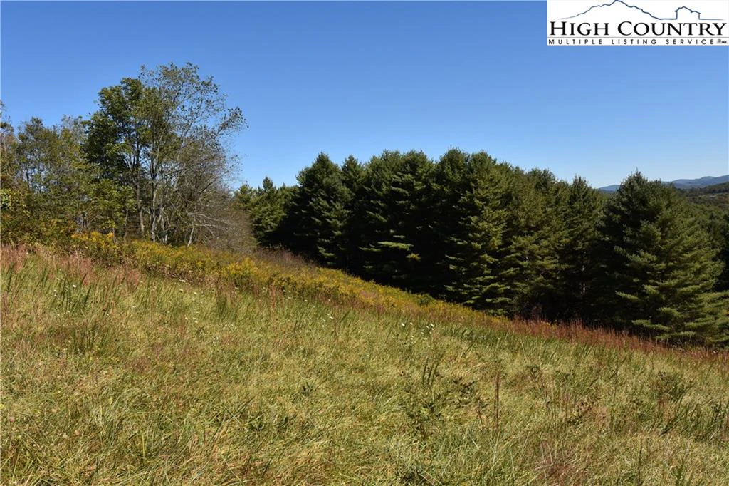 Image number 15 for the current listing