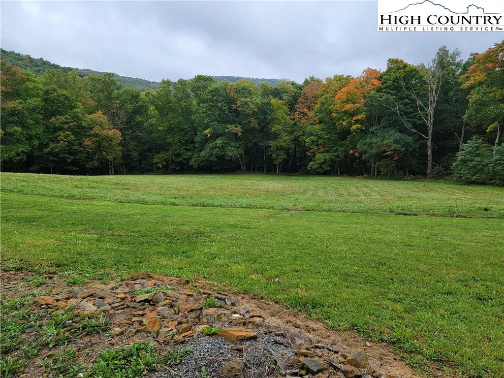 Image number 3 for the current listing