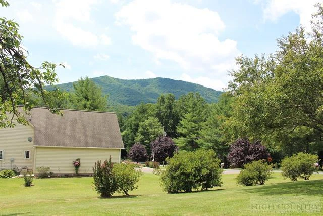 Image number 12 for the current listing