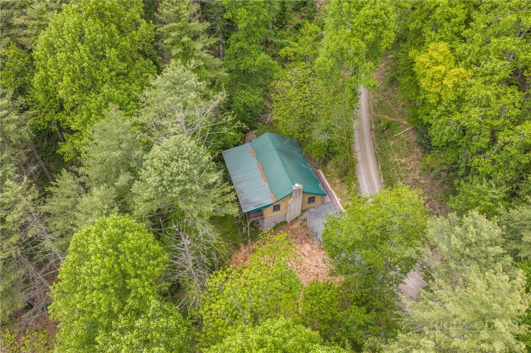 Image number 17 for the current listing