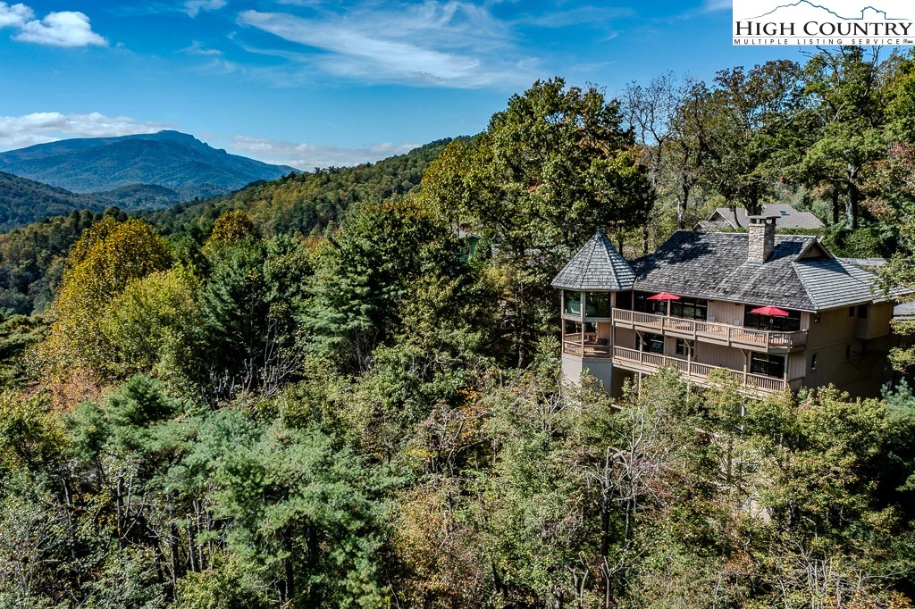 Image number 1 for the current listing