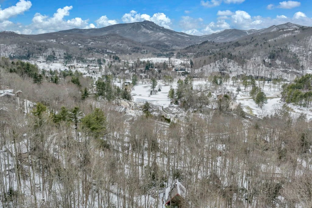 Image number 3 for the current listing