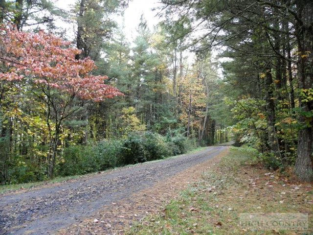 Image number 10 for the current listing