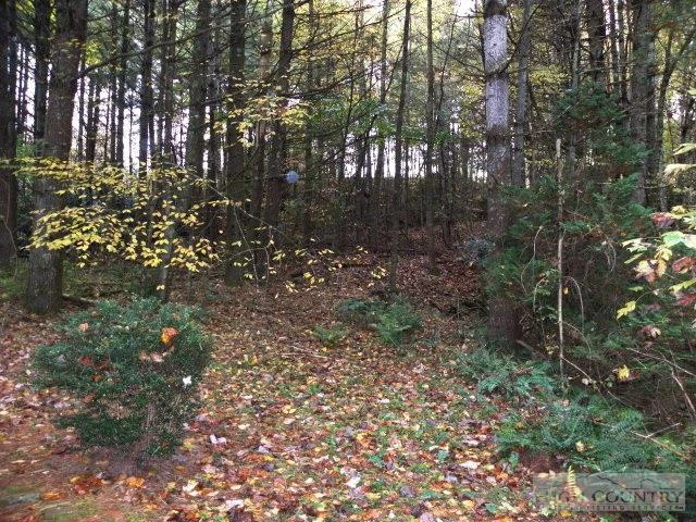 Image number 14 for the current listing