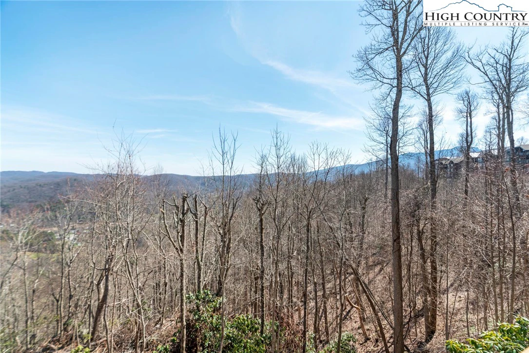 Image number 20 for the current listing