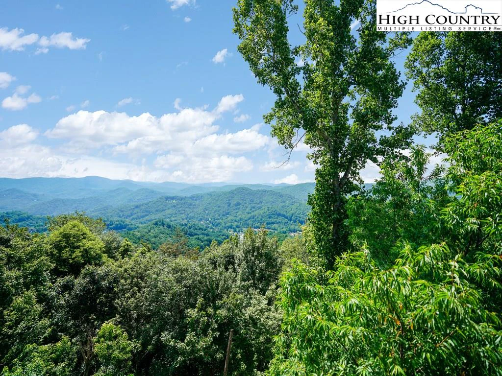 Image number 1 for the current listing