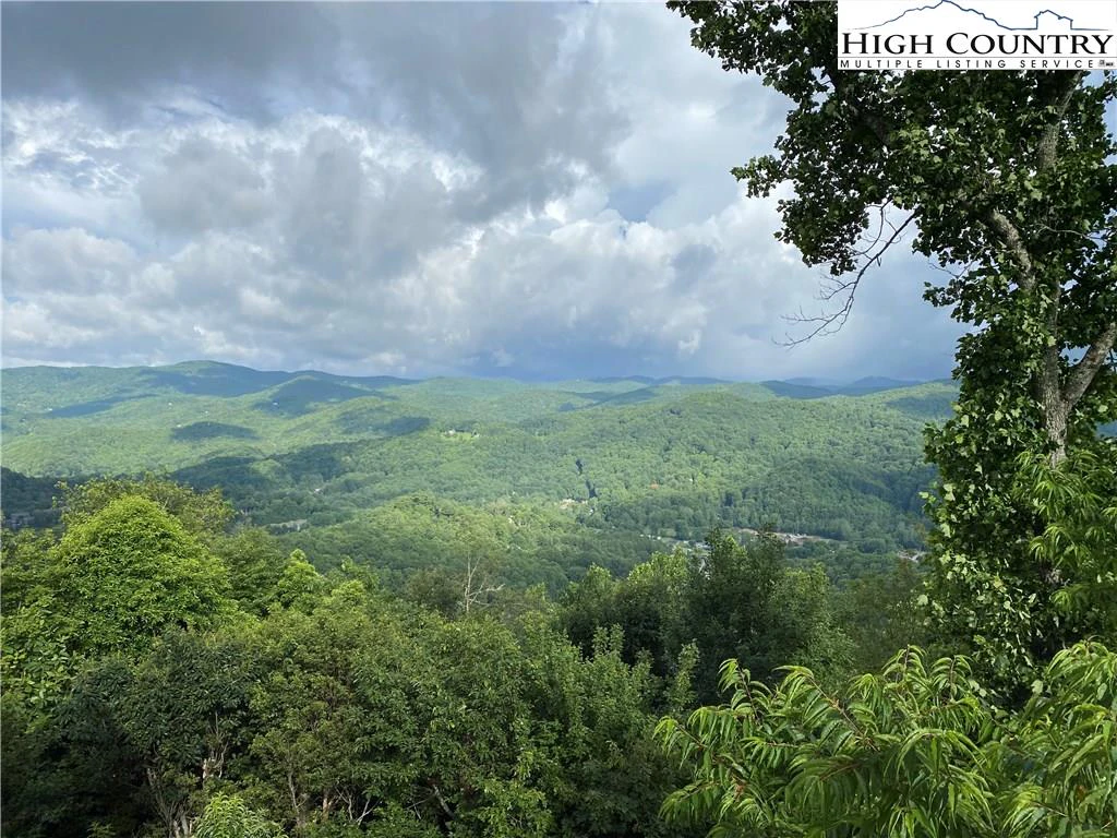 Image number 3 for the current listing
