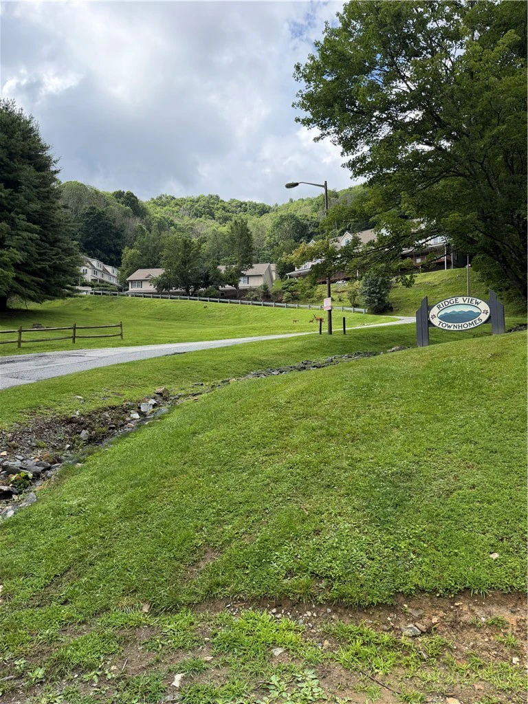 Image number 4 for the current listing