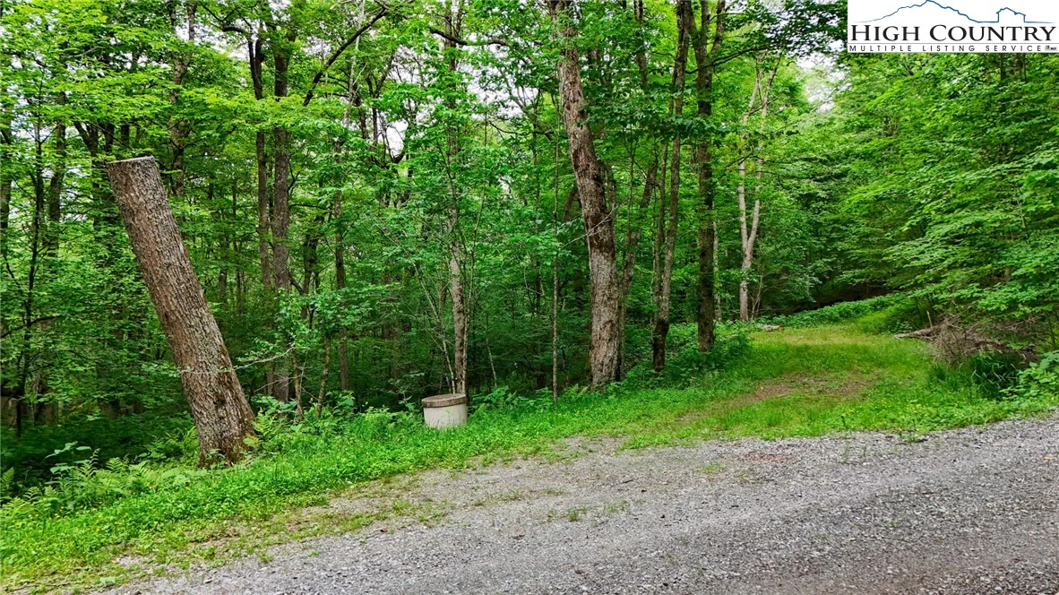 Image number 1 for the current listing