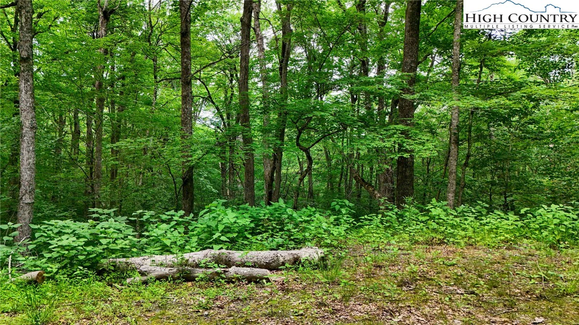 Image number 19 for the current listing