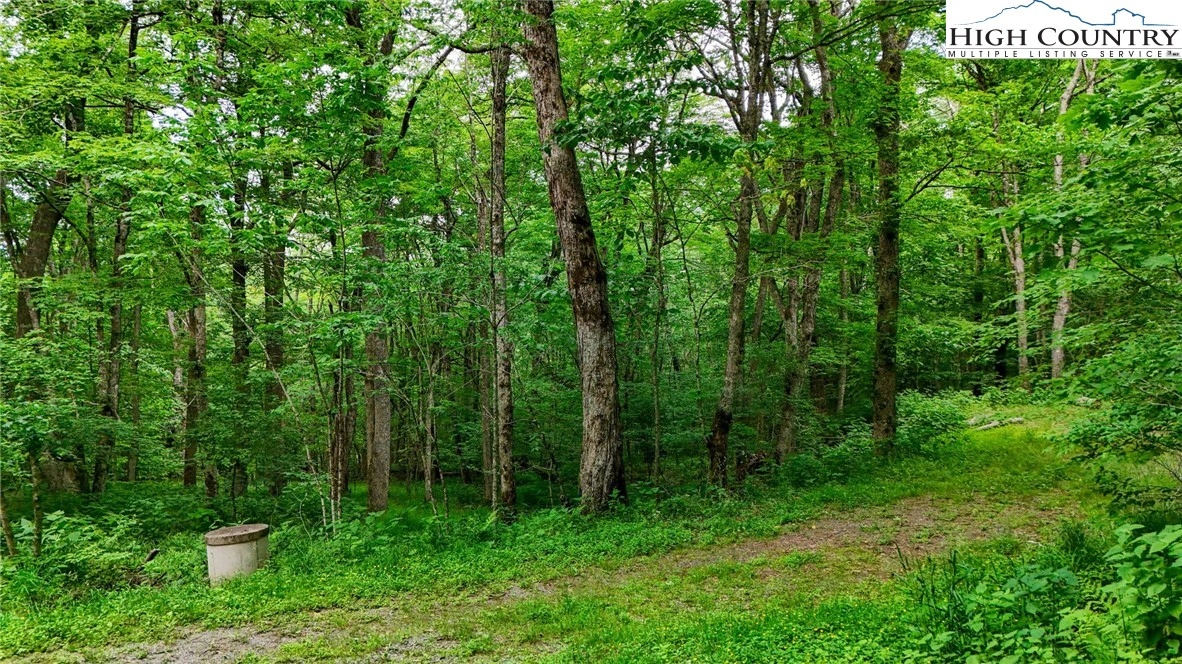 Image number 16 for the current listing