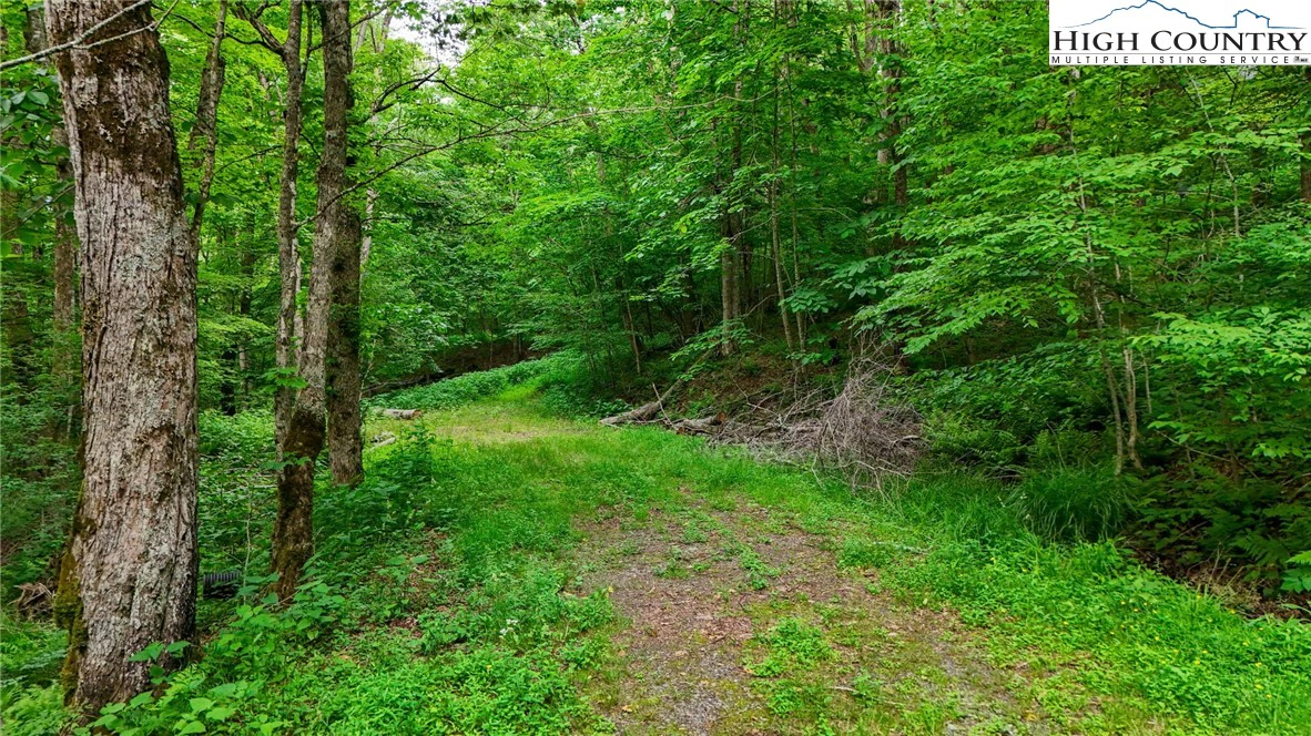Image number 13 for the current listing