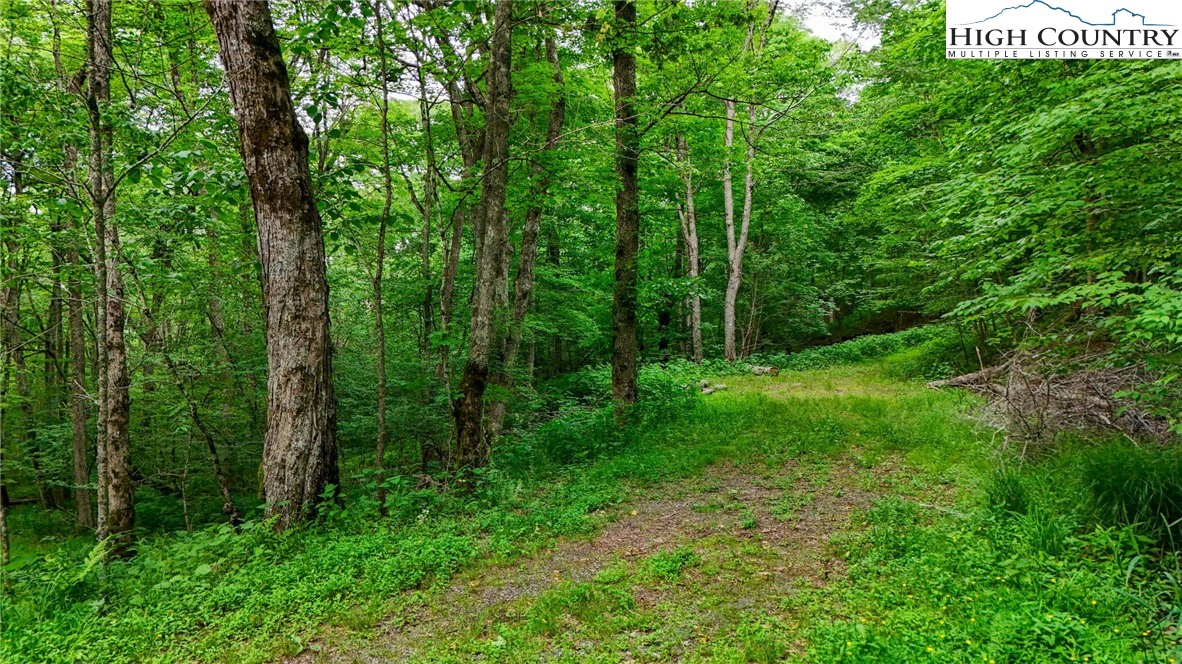 Image number 2 for the current listing