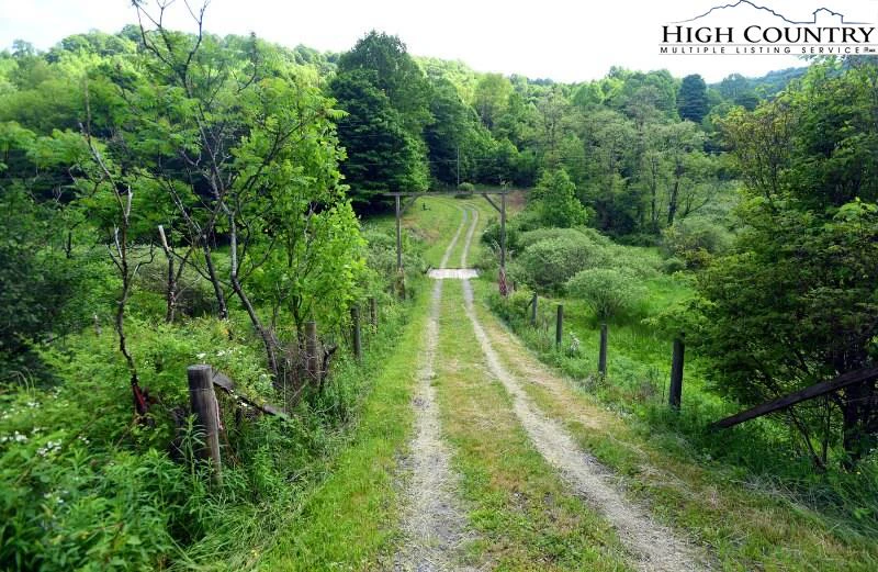 Image number 11 for the current listing